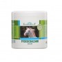 GEL CAVALLO 500ml