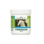 GEL CAVALLO 250ml