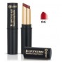 Astra Lip Stylo 8H N°06
