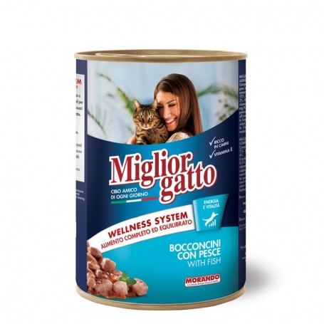 Miglior Gatto Bocconcini Pesce 405gr