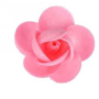 Rosa grande cialda 100pz rosa