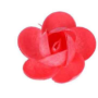 Rosa grande cialda 100pz Rosso