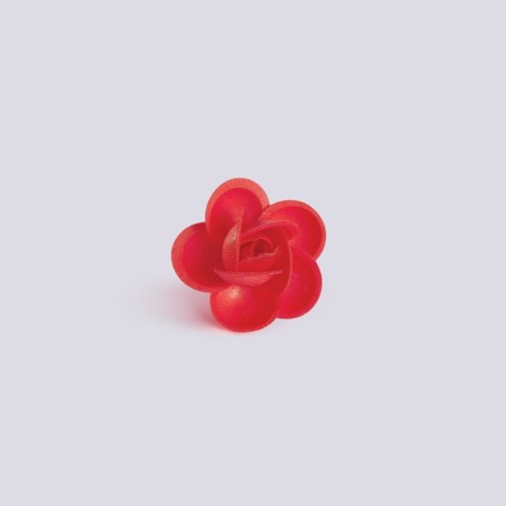 Rosellina rossa con foglie, confezione da 200 pezzi
